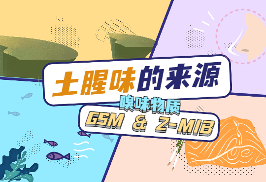 土腥味的来源—-GSM  2-MIB(2220816)