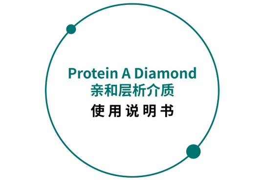 博格隆 Protein A Diamond亲和层析介质