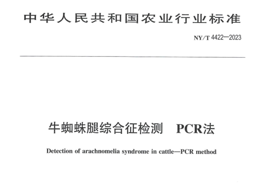 牛蜘蛛腿综合征检测PCR法