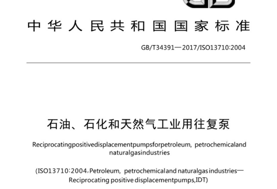 石油、石化和天然气工业用往复泵