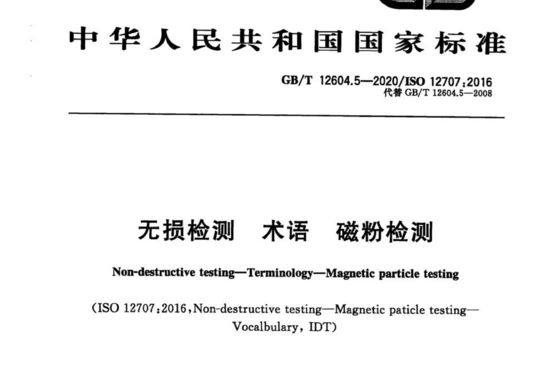 无损检测 术语 磁粉检测